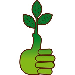 Green Thumbs Up to Baptist Medical Plaza | Miami Urban Green