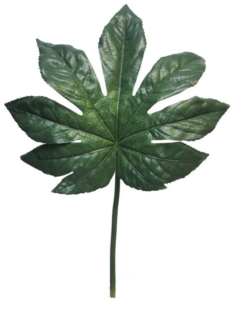 Single leaves | Shop