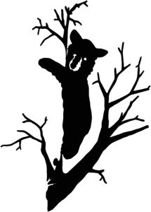 Vinyls, Vinyl decals and Decals