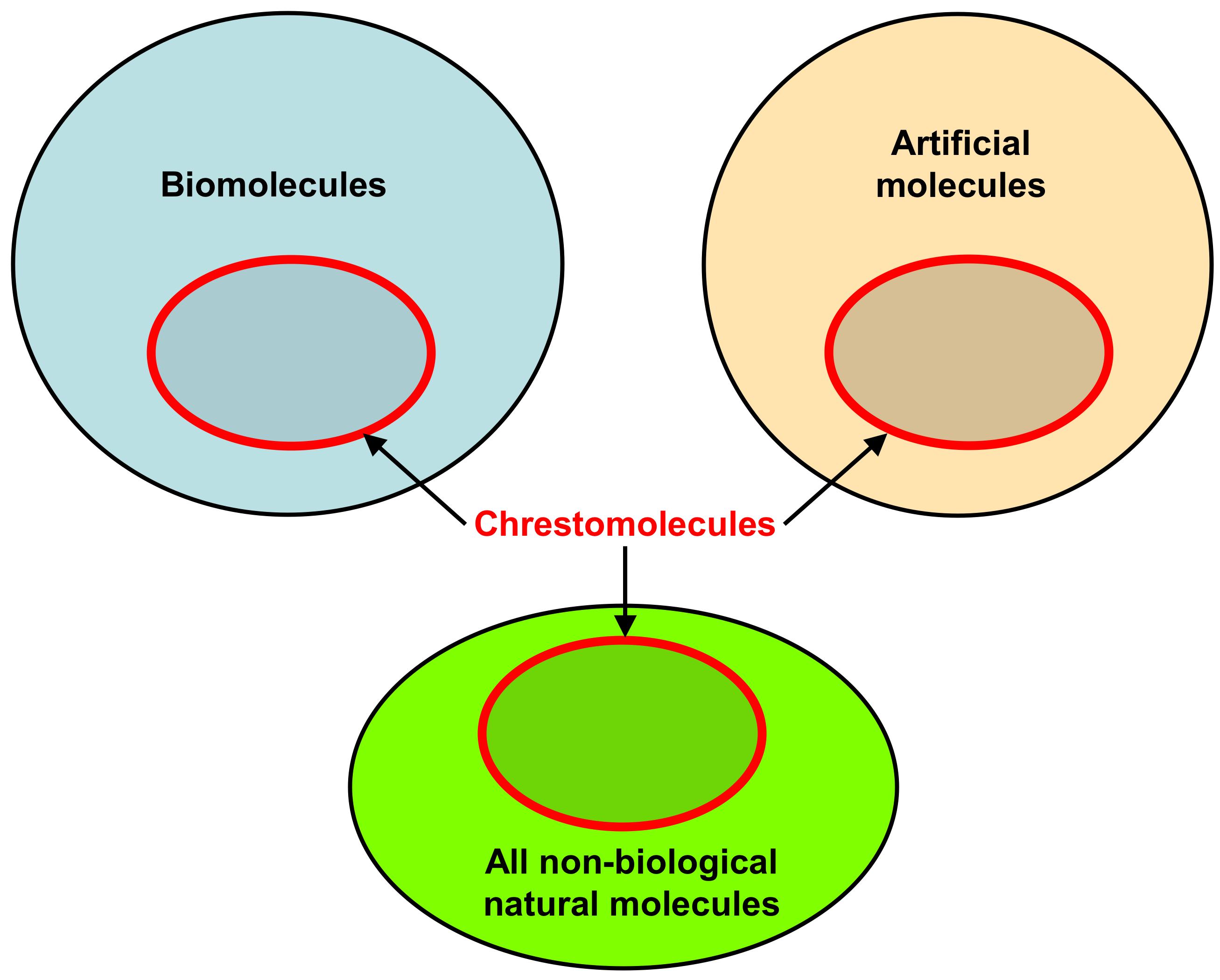 Simple Animal Cell Diagram