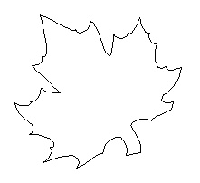 Celebrate 07 - Canada Day