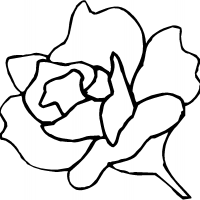 Printable Pattern