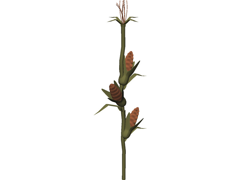 Corn Stalk 3D Model Download - 3D CAD Browser