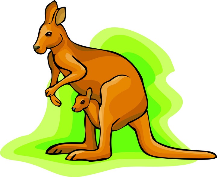 Kangaroo Clip Art - Tumundografico