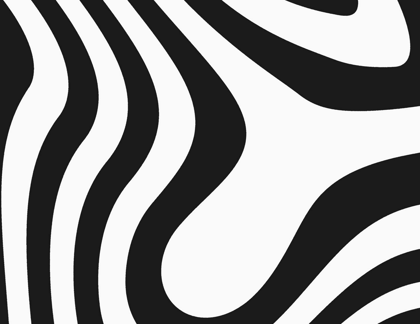 Zebra Arm Tribal Tattoo 1 Tattoos