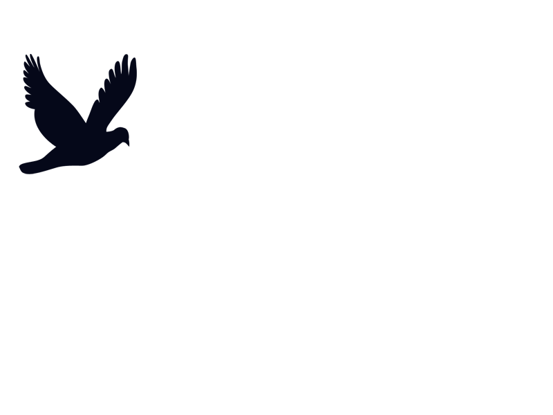 Animated Gif Bird Flying ~ Bird Gif Animation Animated Robin Tumblr ...