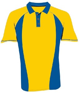 Polo Shirt Design - ClipArt Best