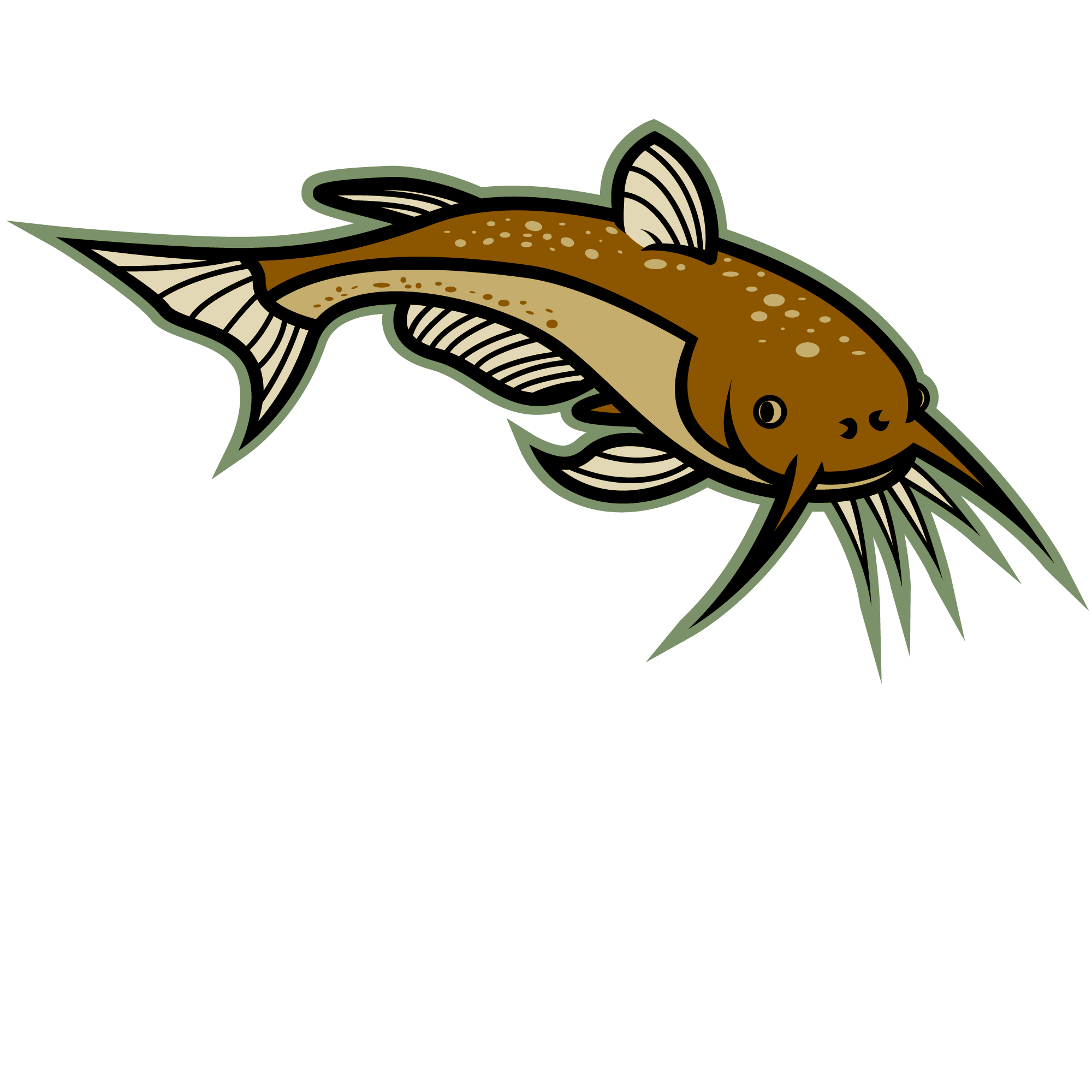 Cartoon catfish clipart