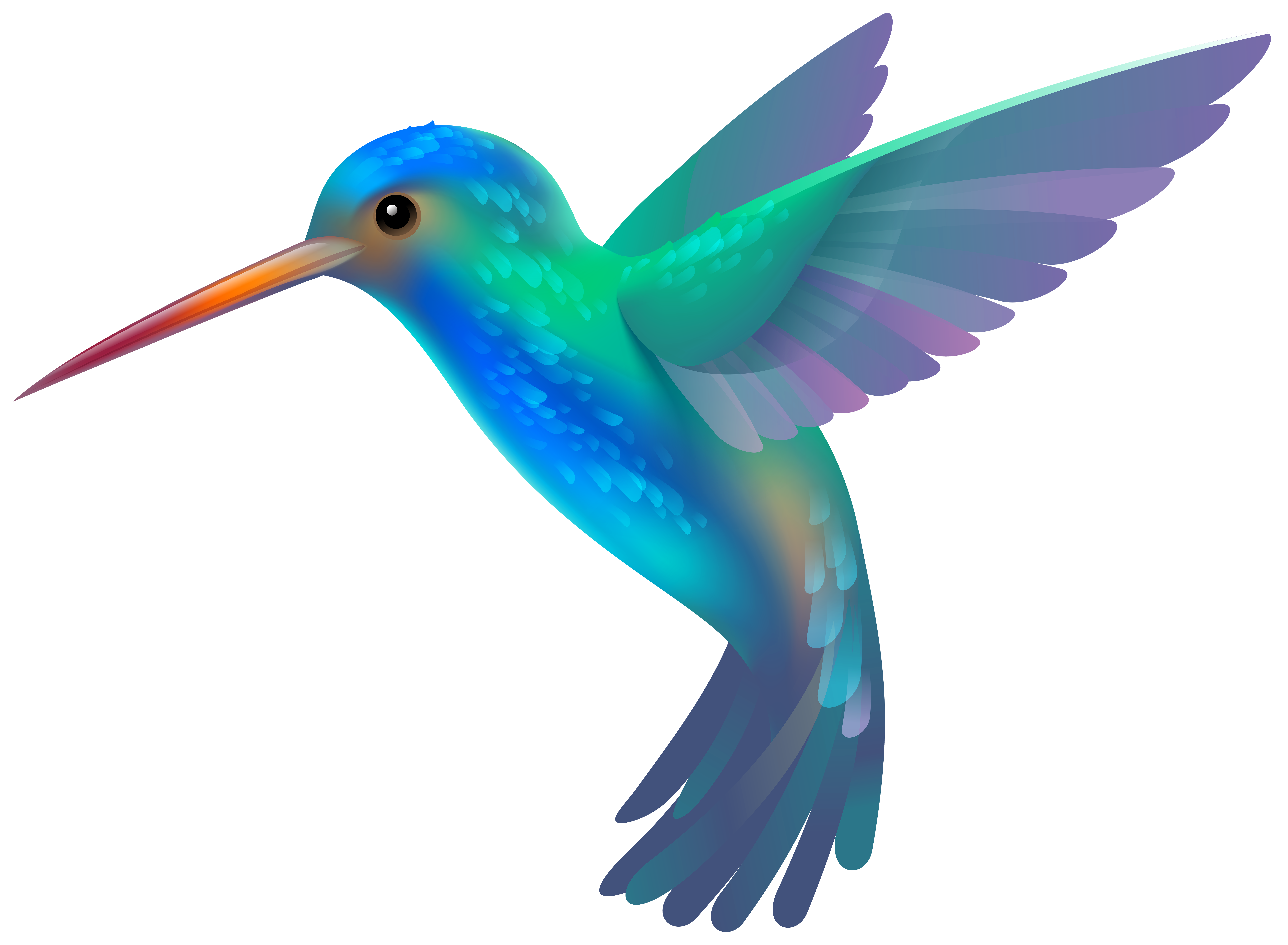 Free Hummingbird Clipart - Tumundografico