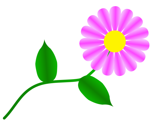 daisy-fuchsia_Clip_Art.png