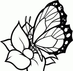 How to draw, Peonies and To draw