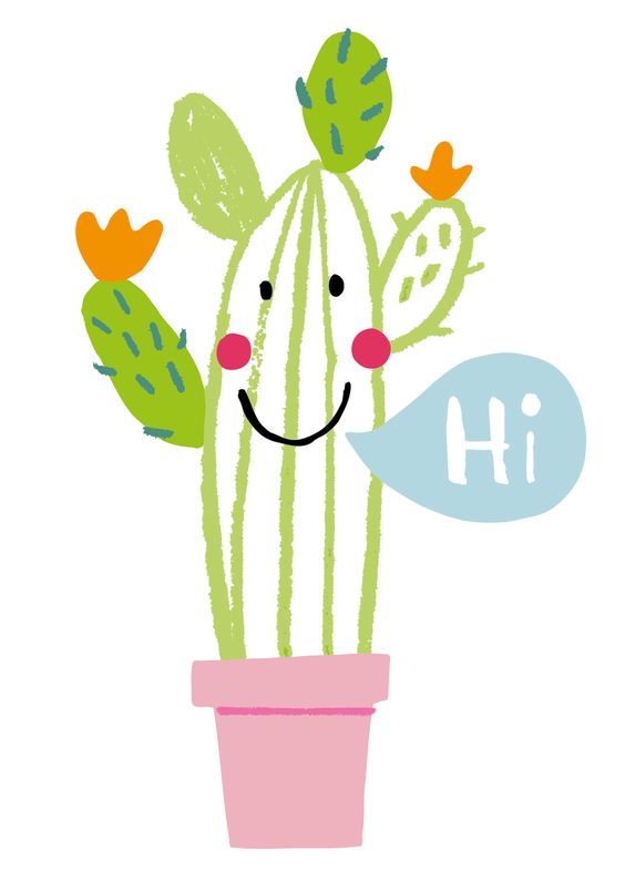 Plants, Drawings and Cactus