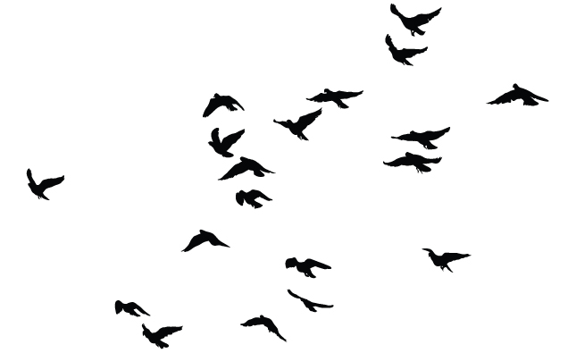 18 Vector Bird Silhouette Images - Vector Bird Silhouettes, Birds ...