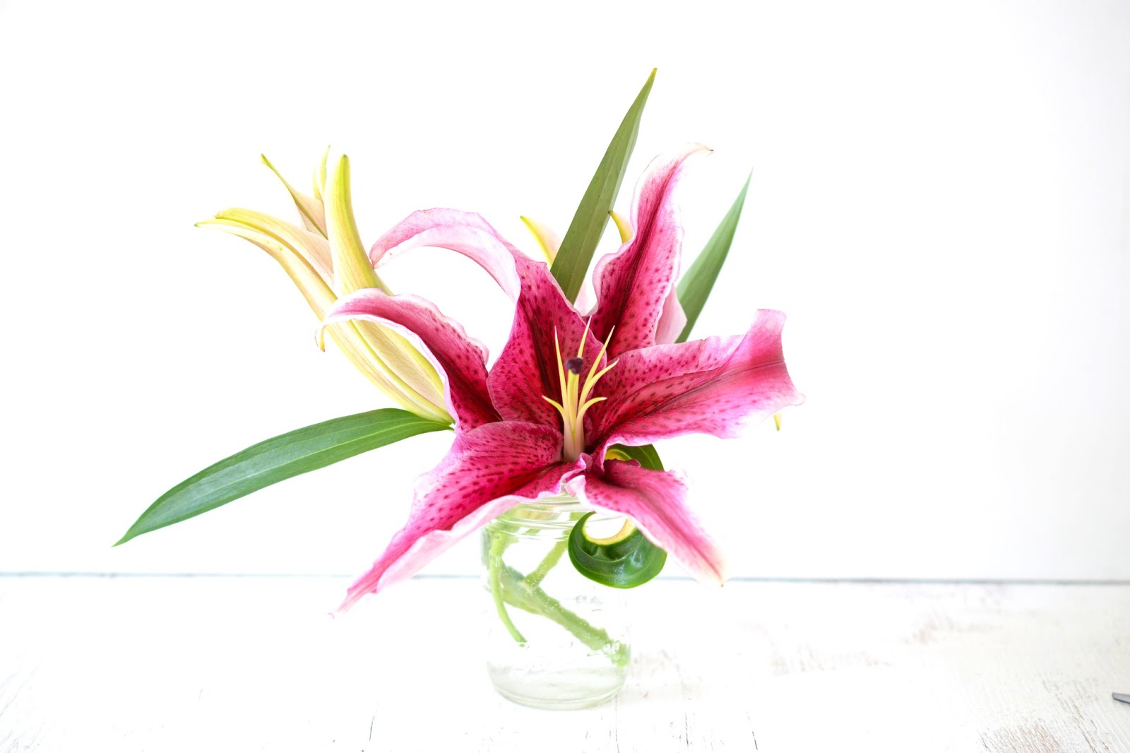 Heart of Gold: Petal by Petal:: Stargazer Lily