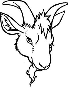 Drawings and Goats