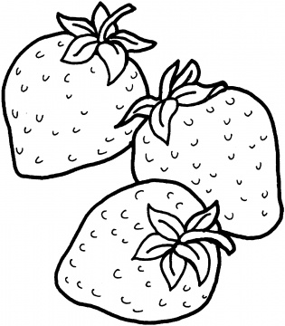 1000+ images about Strawberries