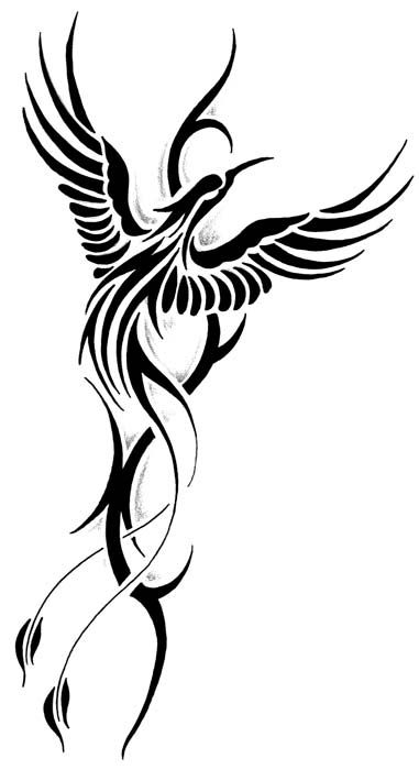 Phoenix Tattoos | Phoenix, Phoenix ...