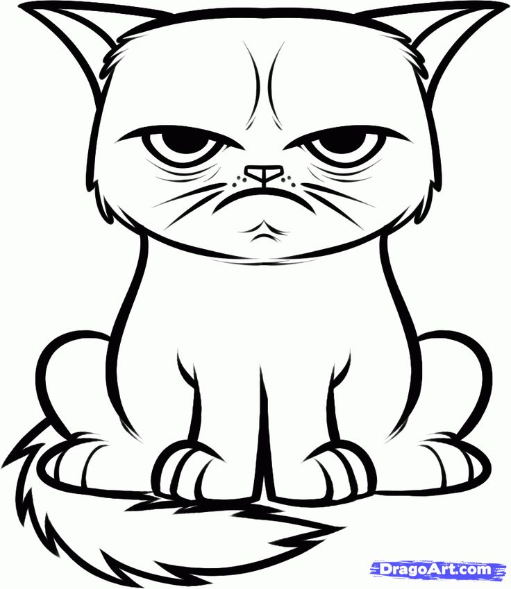 1000+ images about Drawing cats | Cats, Warrior cats ...