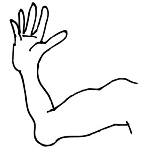 Cartoon arm - Polyvore