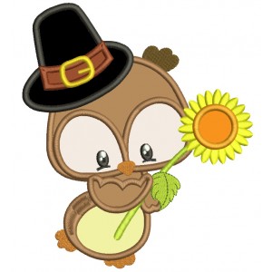 Owl Machine Embroidery Designs and Applique Patterns