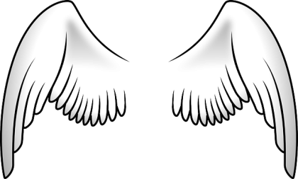 Wings PNG Images Transparent Free Download | PNGMart.com