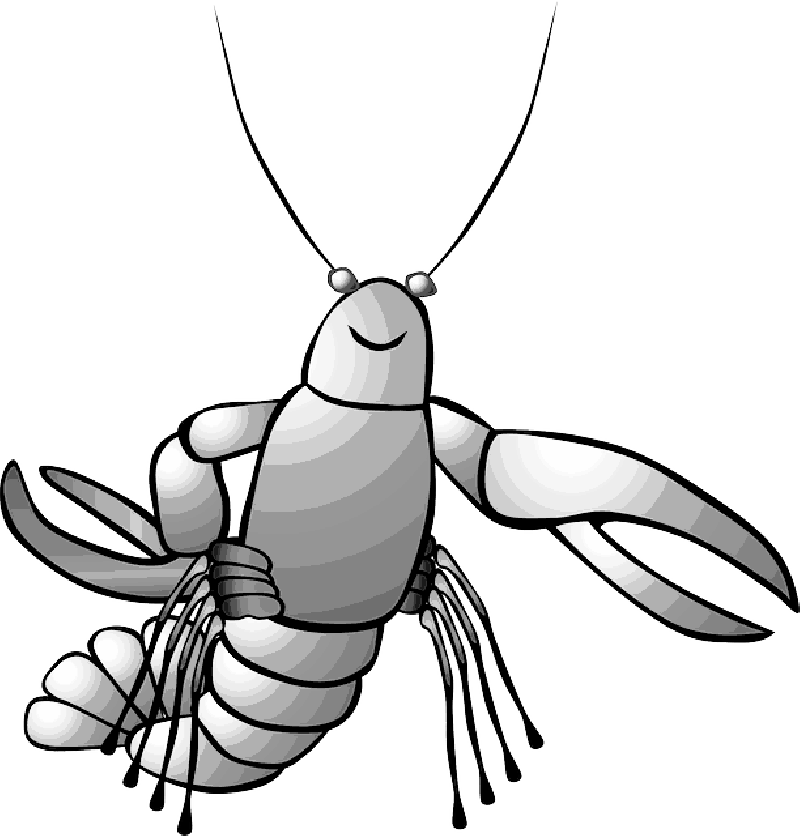 Free pictures LOBSTER - 50 images found