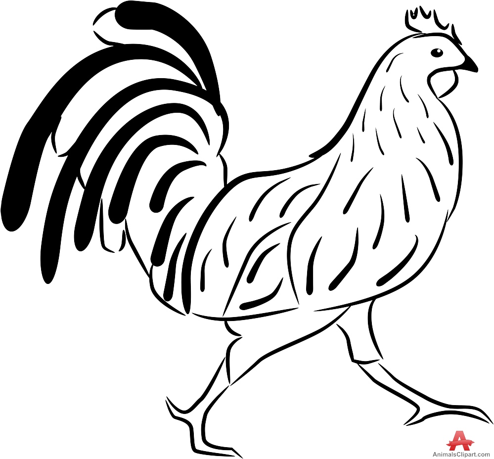 Outline Chicken Clipart | Free Clipart Design Download