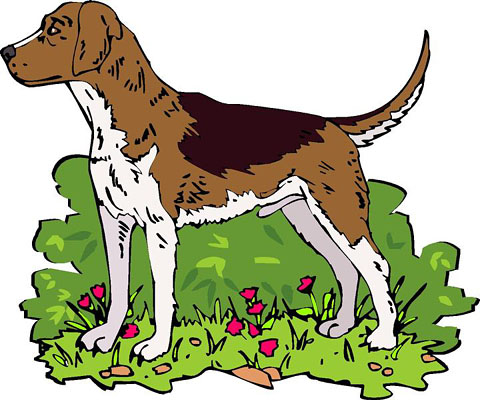 Hunting Dog Clipart