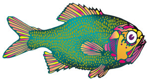 Fish | Free stock photos - Rgbstock -Free stock images | ba1969 ...