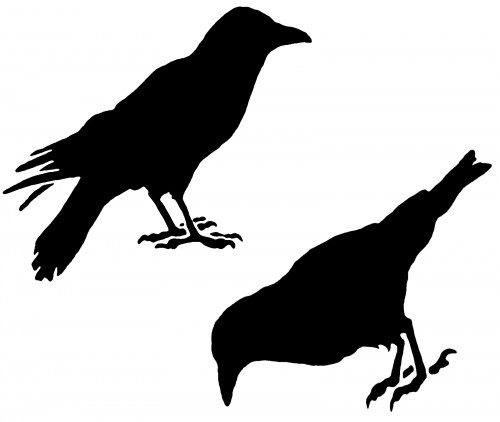 CROWS 4 Reusable Wall STENCILS - DIY Stenciling Wall Decor/Designs ...