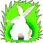 Bunnies