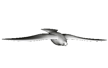 Flight Mechanics Modelling | Faculty of Biological Sciences