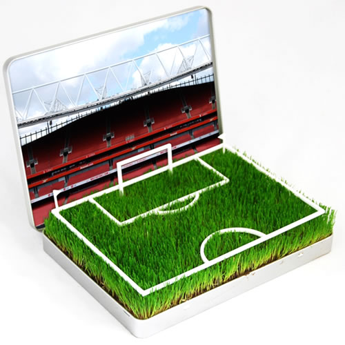 Grow Your Own Football Pitch - Man U