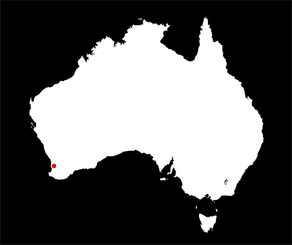 Australia Outline Clip Art Vector Online Royalty Free - Quoteko.