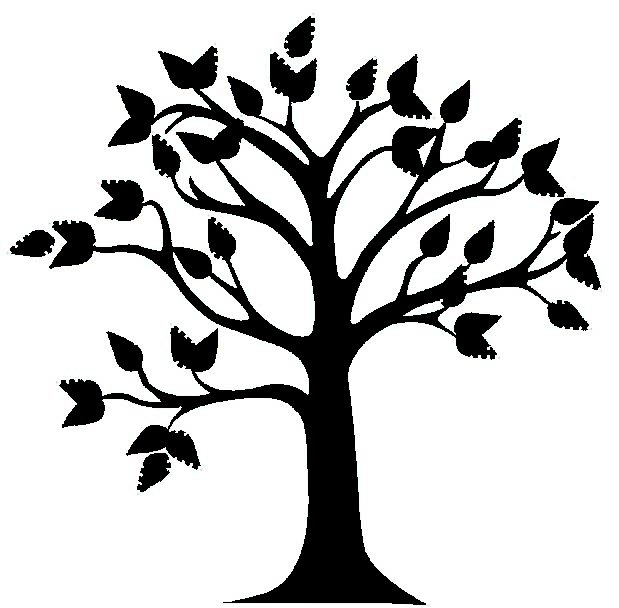 tree images - www.