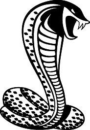 Ford Mustang Cobra Logo GT Emblem 14"x22" Car Window Vinyl Decal ...