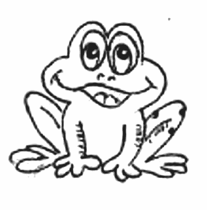 Cartoon Frog Drawings