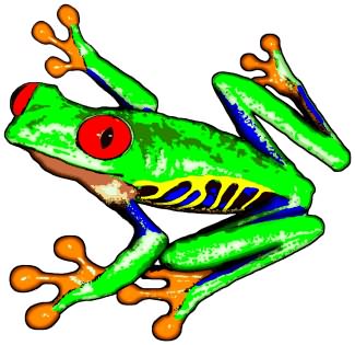 A Bright green Frog Tattoo Design