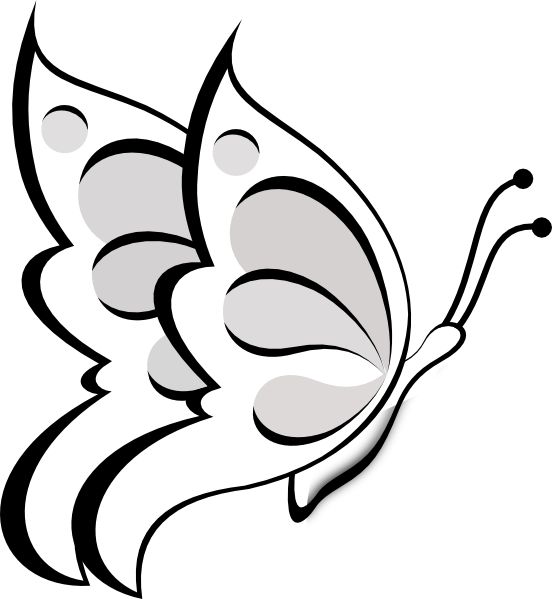 Flower, Google and Flower outline