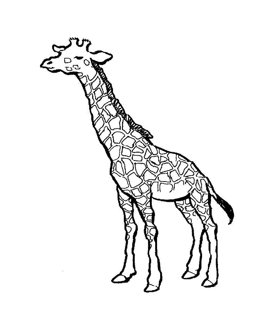 Pin Free Giraffe Coloring Pages ...