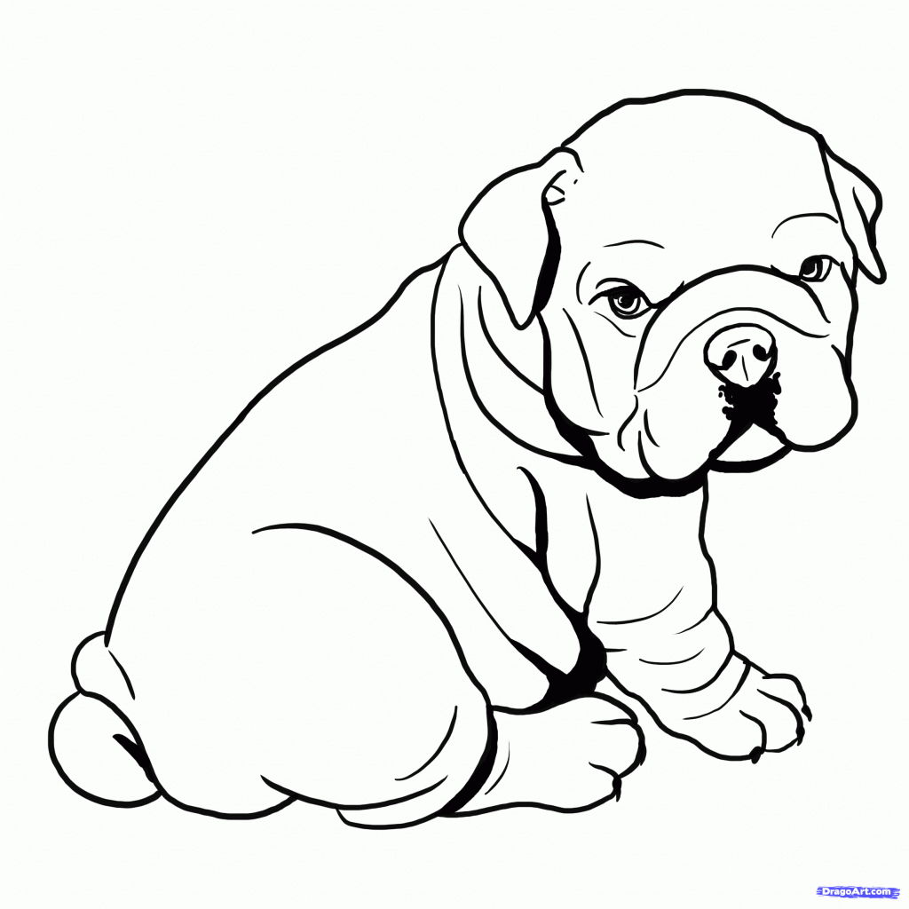 Drawing Of A Bulldog - Drawing Art Library