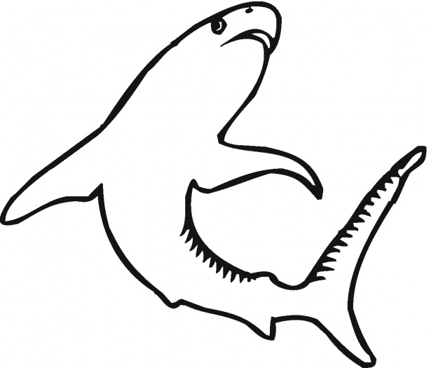 Tiger Shark Outline - ClipArt Best