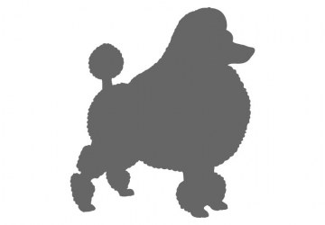 Animal Stencil Shapes - Custom Animal Stencils | Craftcuts.com