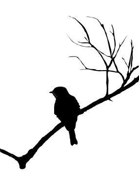 Bird Silhouette | Silhouettes ...