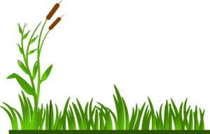 Green Grass Border Clipart - Free Clipart Images