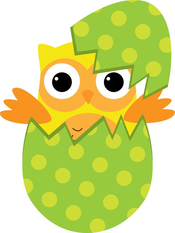 Clip art, Photos and Owl