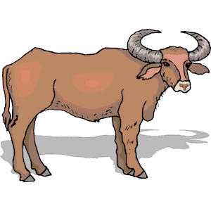 Ox Clipart
