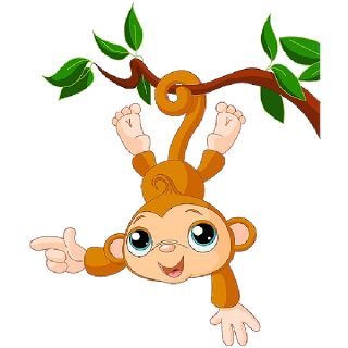 Monkey Images