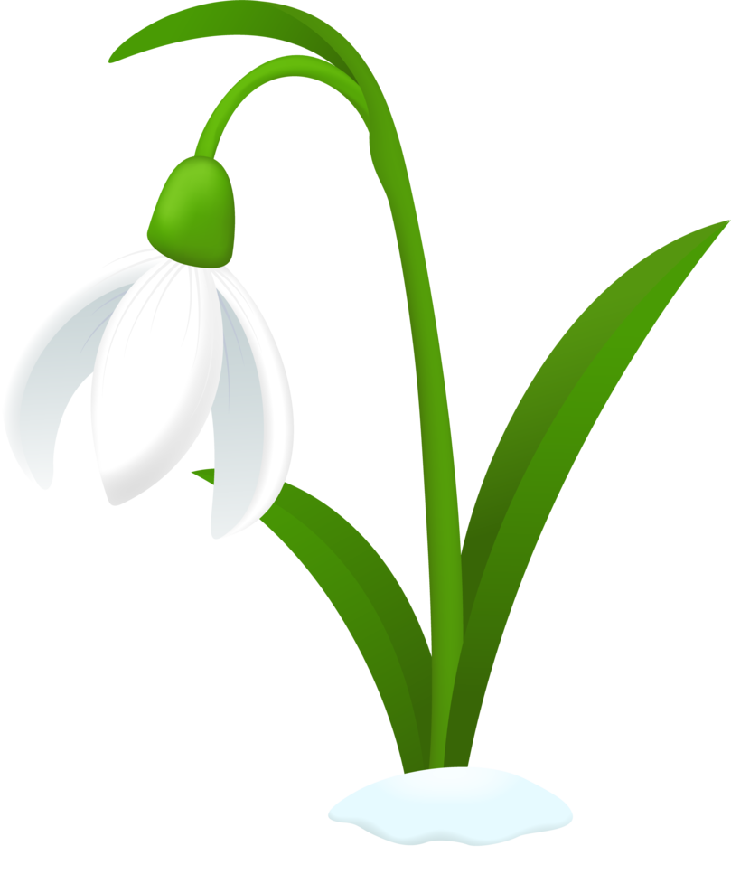 Snowdrop Flower Tattoo | Free Download Clip Art | Free Clip Art ...