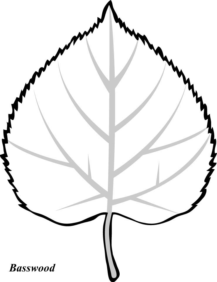 Print and Color These Leaves